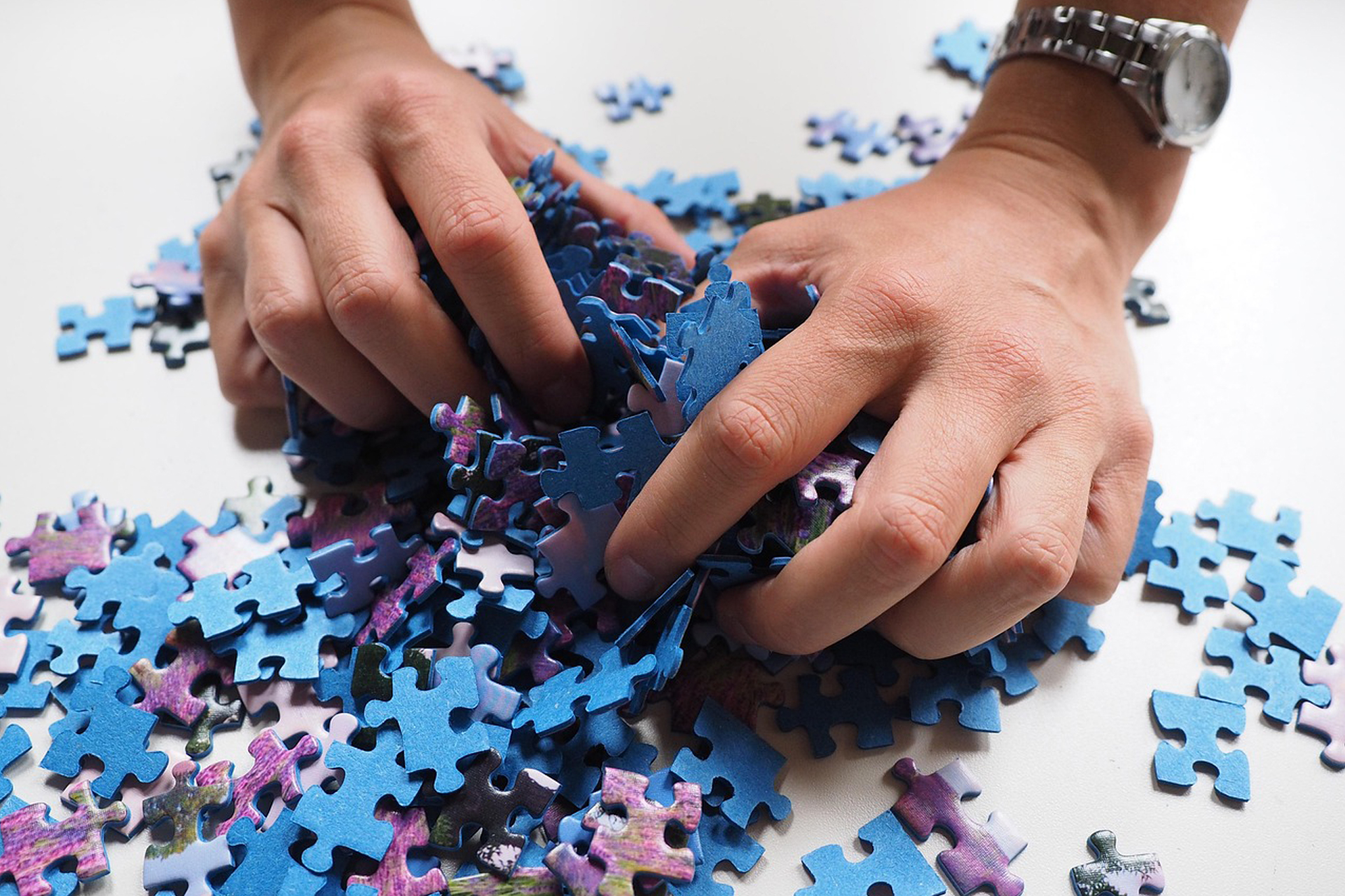 Concours de Puzzle de l'ALPE 