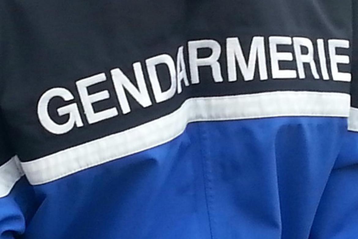 La Gendarmerie, les autres institutions et services publics