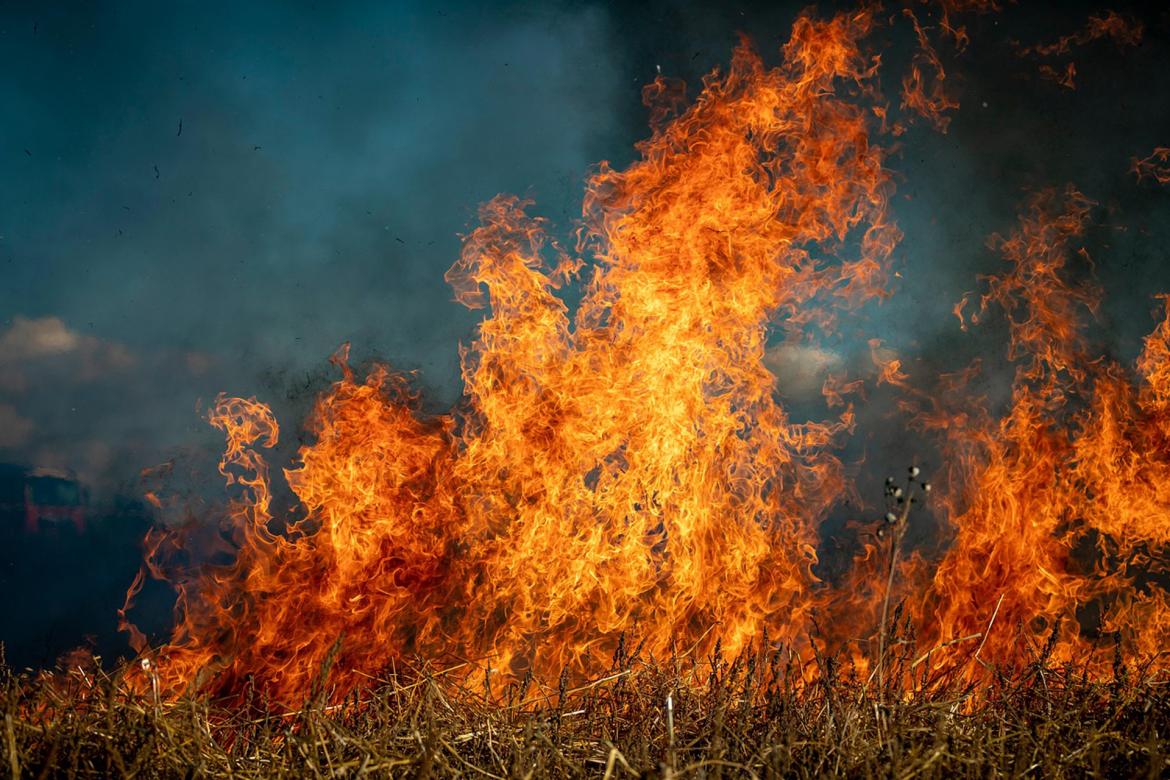 Alerte incendie : prévention des feux de forêt et de végétation