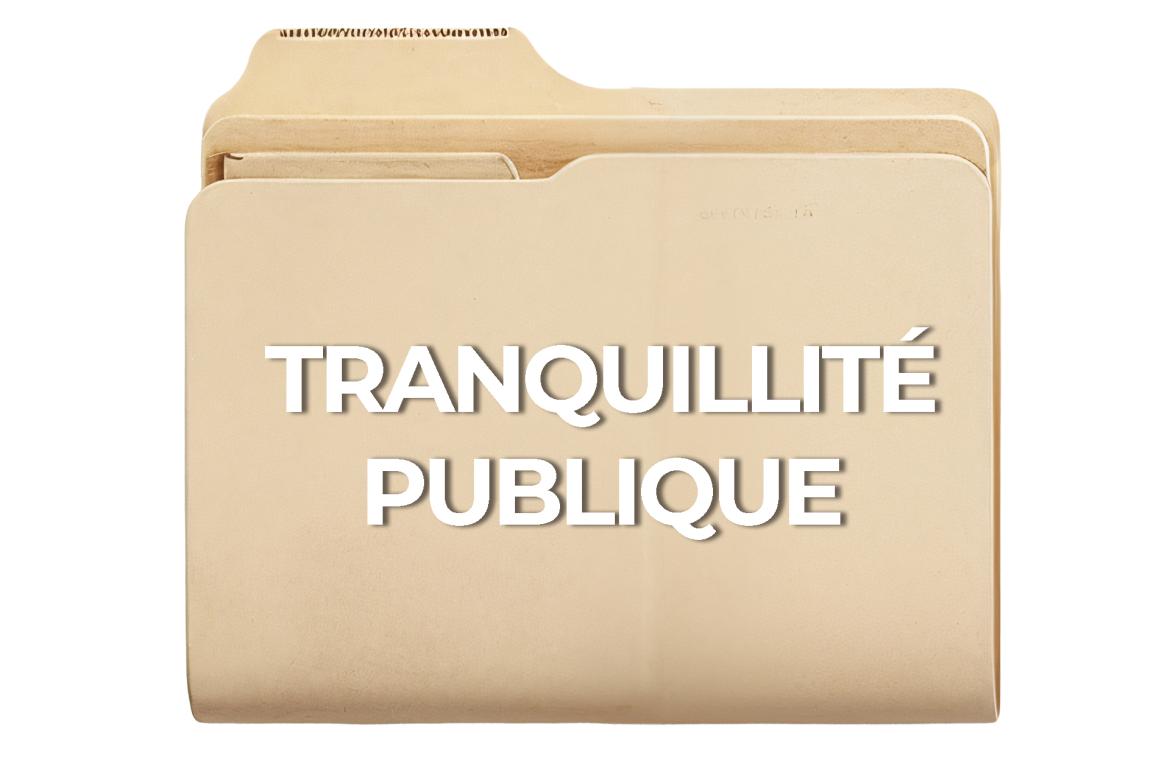 Arrêtés administratifs permanents de la Tranquillité publique