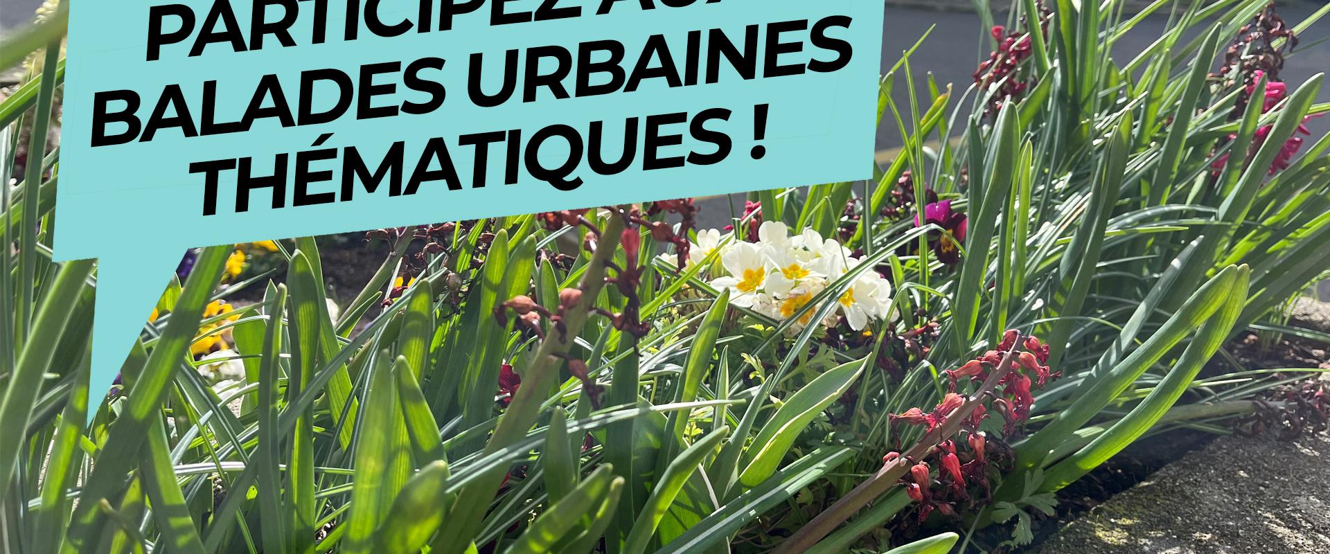 Balade urbaine : Paysage et nature en ville