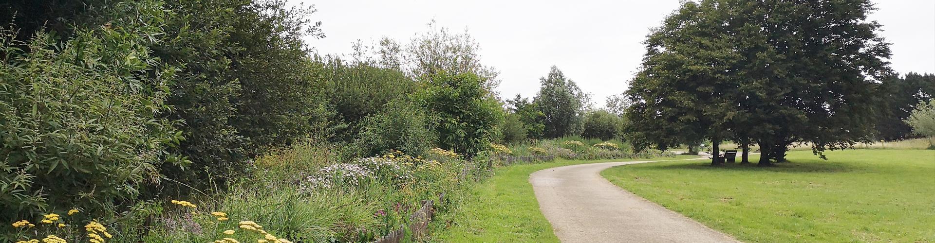 Gestion durable des espaces verts