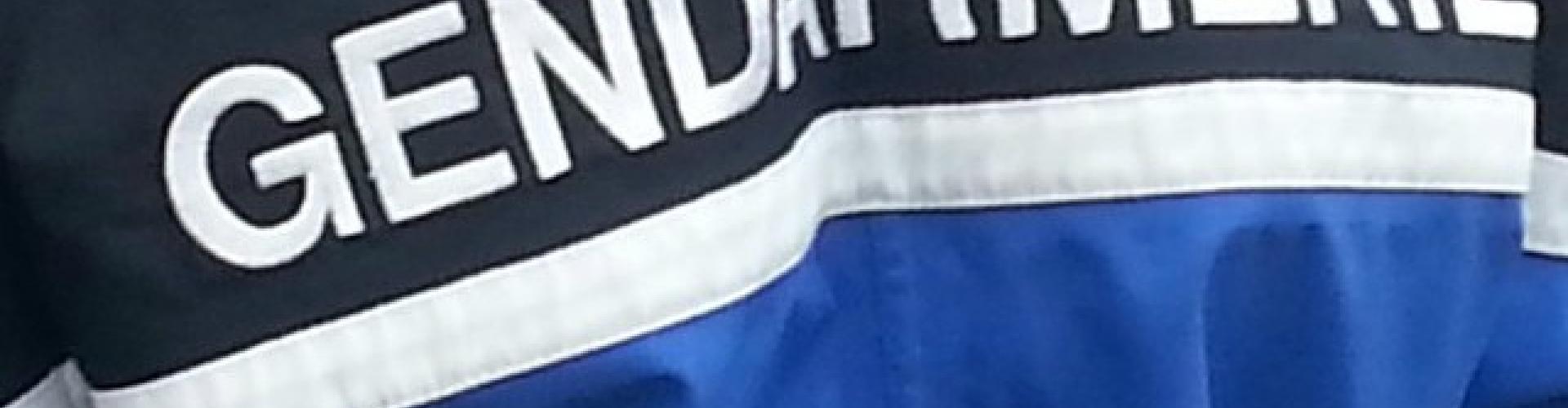 La Gendarmerie, les autres institutions et services publics