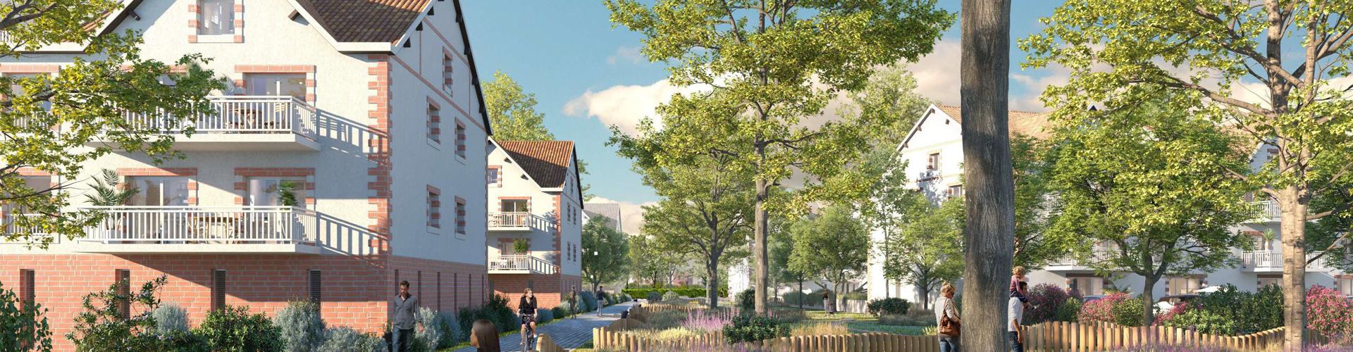 Projet Grandes Noëlles