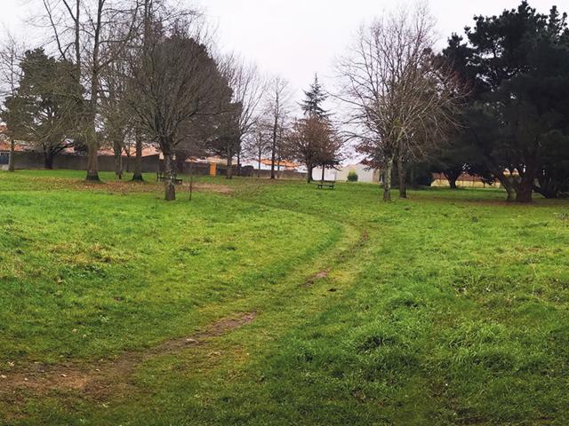 Parcelles ,Pierre Chanson