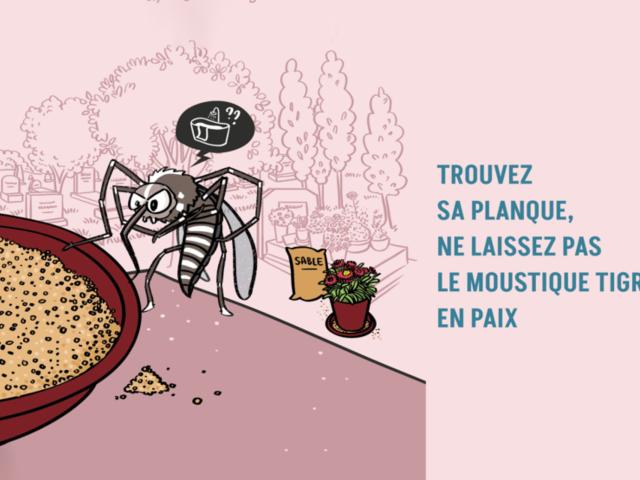 visuel moustique tigre