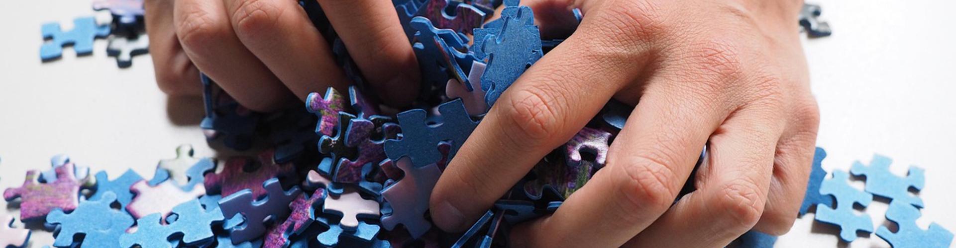 Concours de Puzzle de l'ALPE 